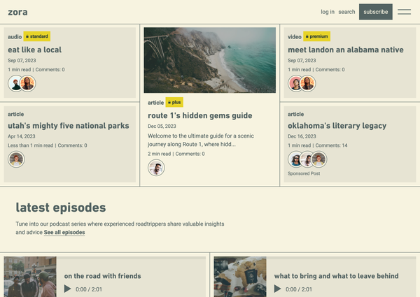 screenshot of Zora theme homepage on the Shopify demo store showcasing article, video and audio blog cards