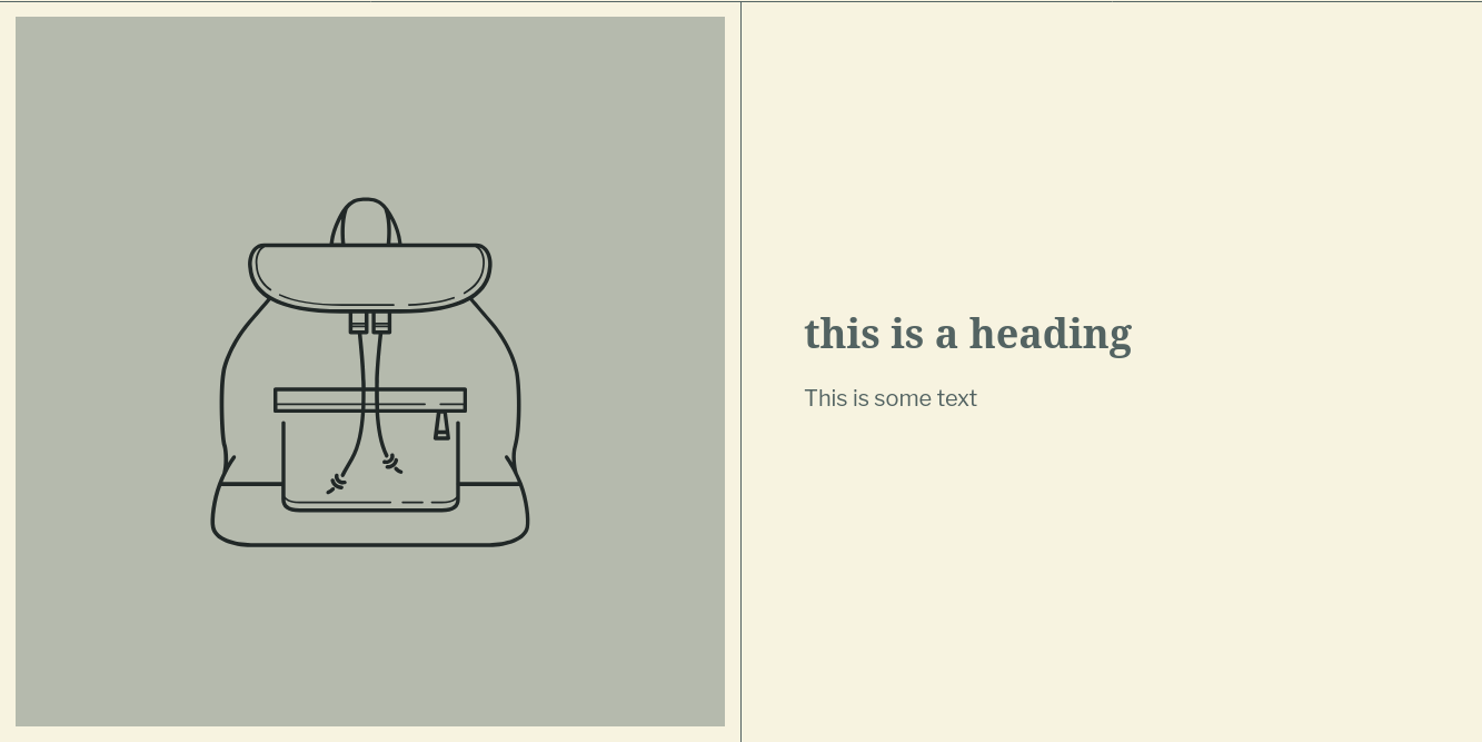 screenshot of the image with text section in the zora Shopify theme