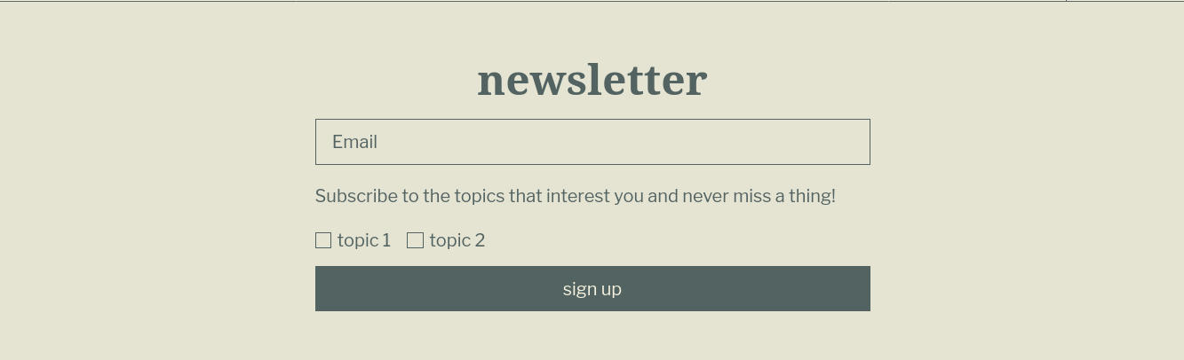 screenshot of the newsletter section in the zora Shopify theme
